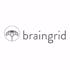 Logo for the brand Braingrid Corporation